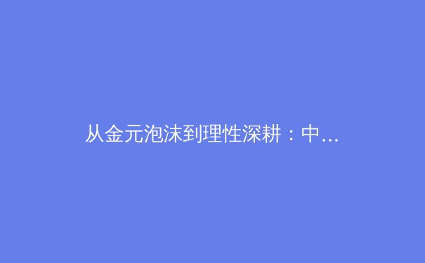 从金元泡沫到理性深耕：中国职业体育联赛的阵痛转型与价值重构